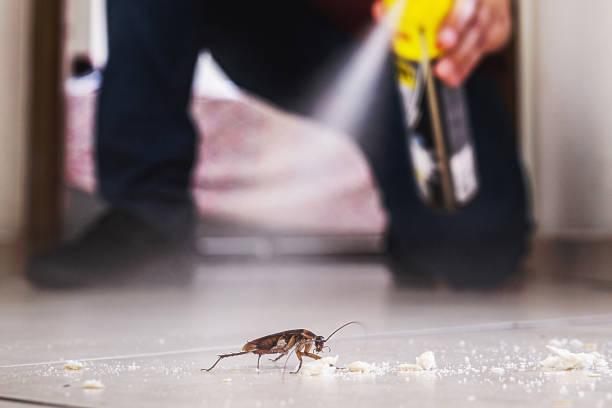 Best Pest Removal Services  in Mitchellville, MD